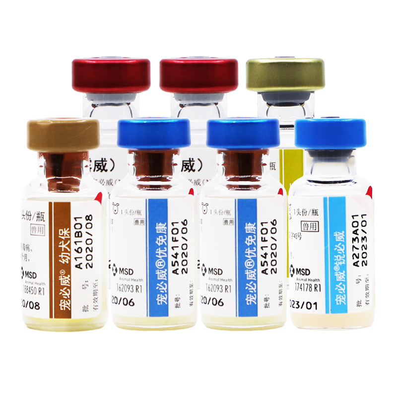 INTWEI Quadruple rabies dog puppy plague fine puppy prevention nursery pet vaccine this needle suit