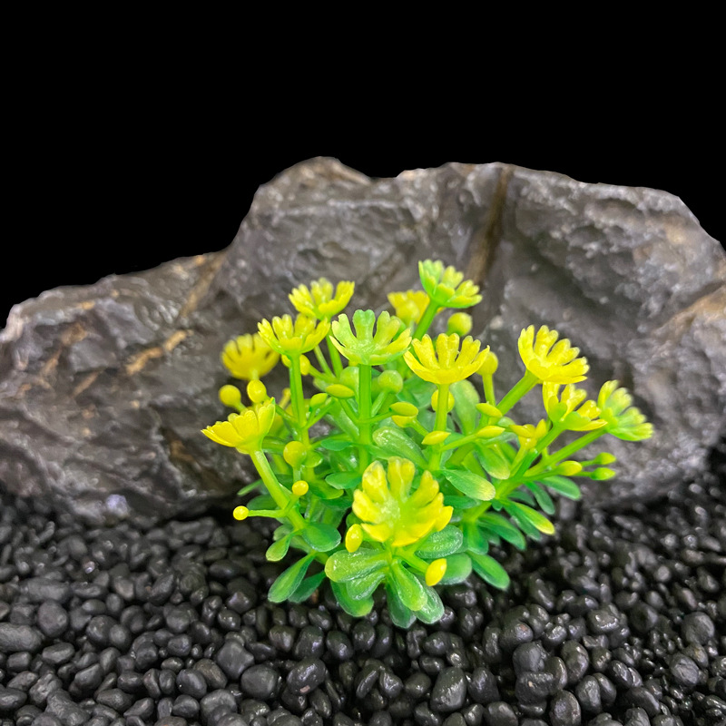 Fish tank landscaping simulation water grass seaweed fleshy micro landscape decoration plastic water grass aquarium supplies source manufacturers