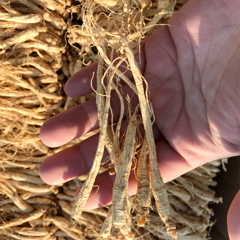 Changbai Mountain Small Ginseng Whole Root Raw Sun-Dried Ginseng Soap Essence Dried Ginseng Cosmetics Dried Ginseng Flower Tea Food
