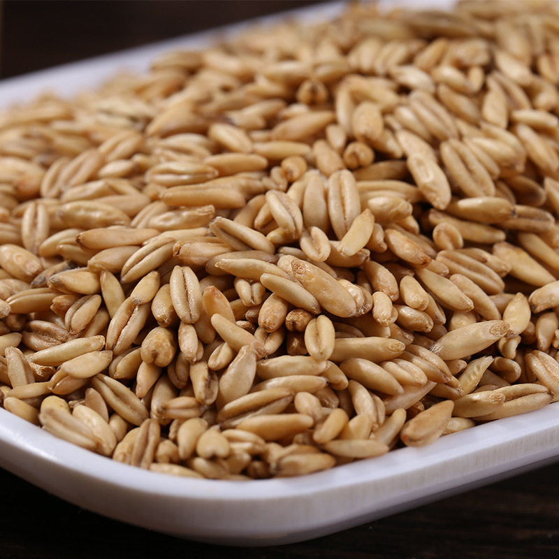 Supply of low-temperature baking oat grain grinding raw material cooked oat kernel whole grains coarse grains cooked oat rice