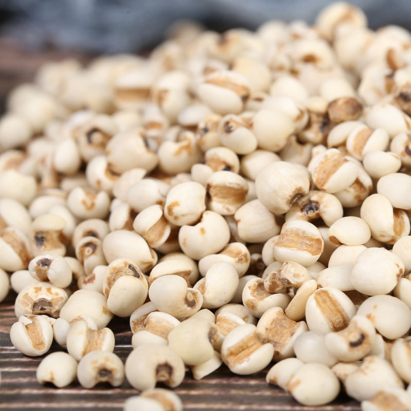 Factory wholesale cooked coix seed Guizhou small coix seed grinding raw materials fried small coix seed low temperature baking small coix seed