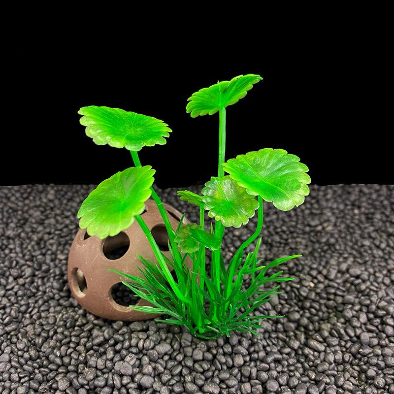 Fish Tank Decoration Plastic Water Grass Aquarium Landscaping Real Plant Fleshy Micro Landscape Decoration Fake Flower Small Water Grass Ornaments