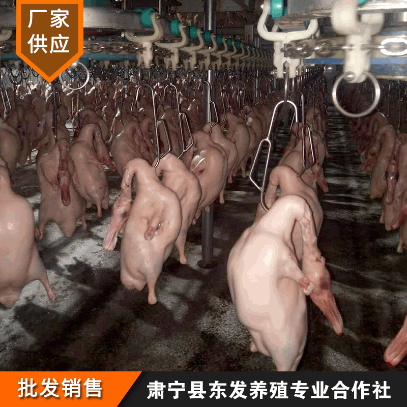 Manufacturer Wholesale Cherry Valley Crispy Non-Greasy Duck Embryo Fresh Frozen Roast Duck Embryo Raw Material Roast Duck Embryo