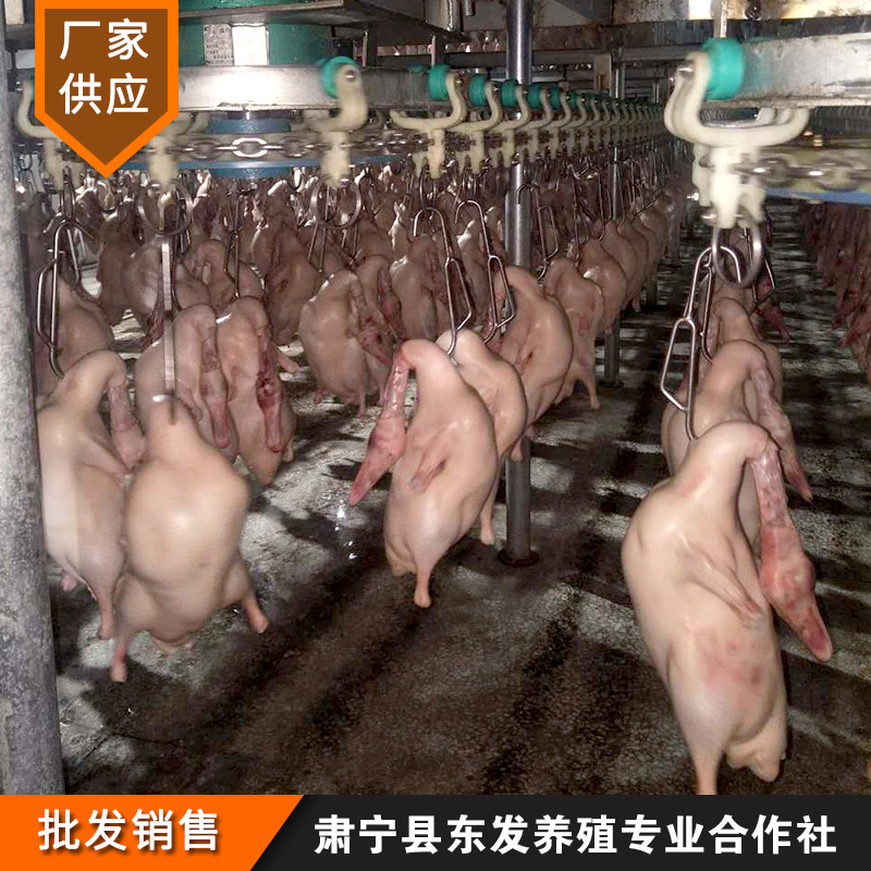 Manufacturer Wholesale Cherry Valley Crispy Non-Greasy Duck Embryo Fresh Frozen Roast Duck Embryo Raw Material Roast Duck Embryo