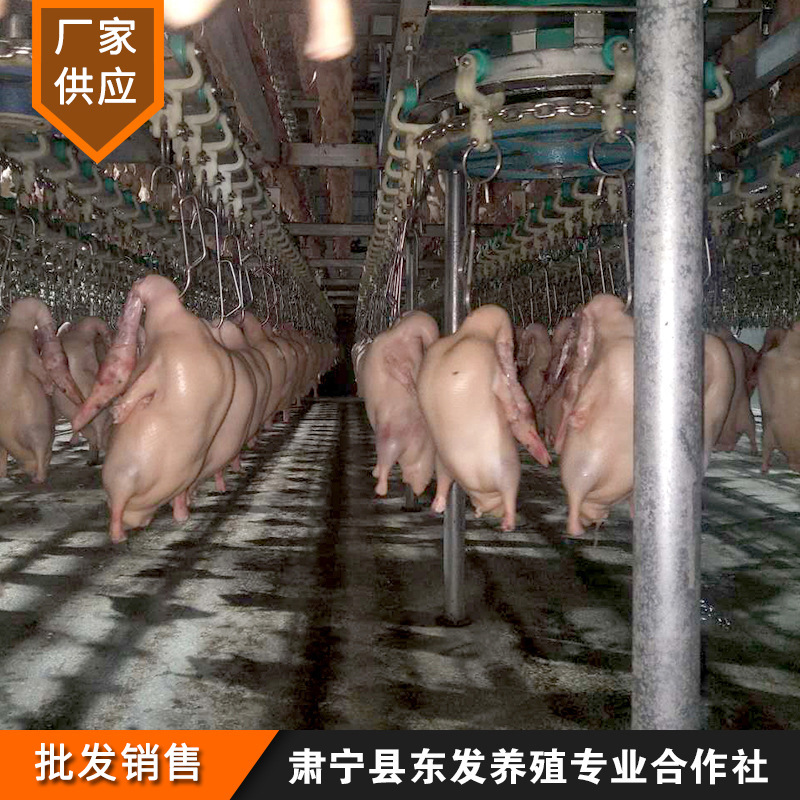 Manufacturer Wholesale Beijing Stuffed Duck Embryo Fresh Frozen Duck Embryo Gutted Duck Raw Material Roasted Duck Embryo