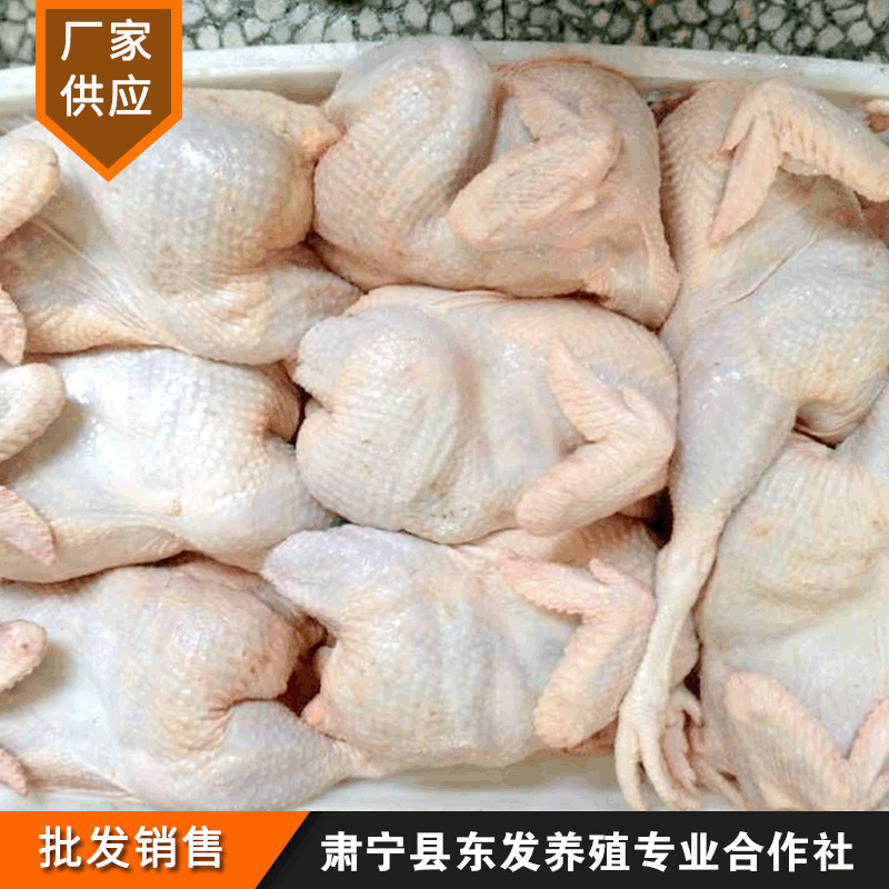 Dongfa Breeding Factory Wholesale Frozen Fresh Old Chicken Chicken Fresh淘汰 Chicken Whole Chicken