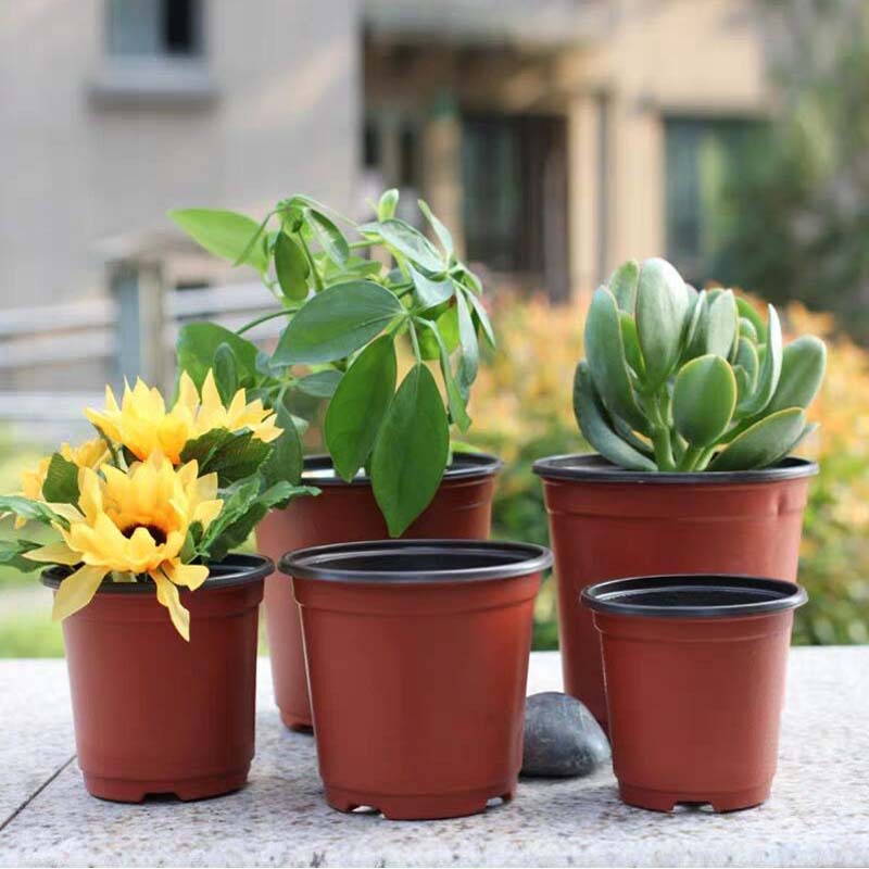 Two-color flowerpot planting seedling nutrition bowl factory batch flower base nursery disposable thickened two-color seedling pot