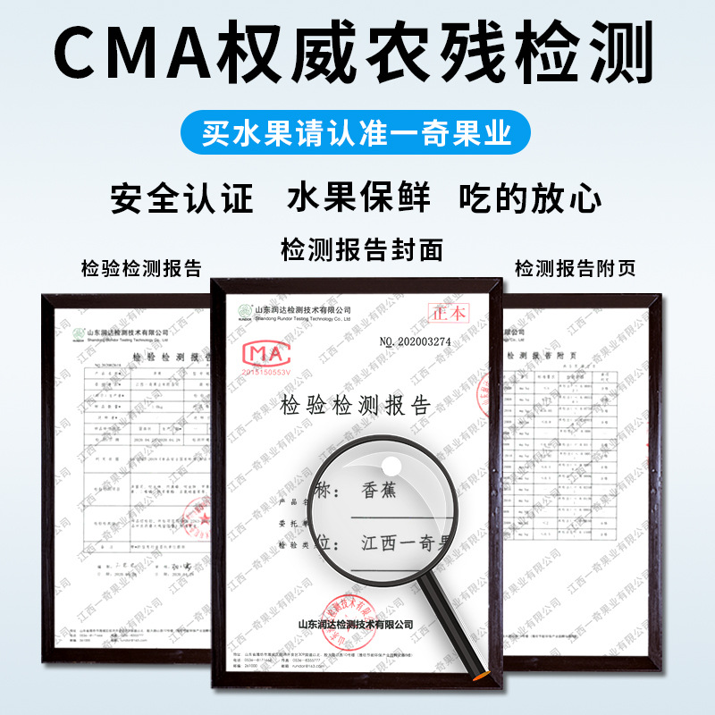 Guangxi Xiaomi Banana Delivery 3/ 4.5kg Sweet Glutinous Small Bananas, Not Tianbao Bananas, Naturally Ripe Seasonal Fruit, Direct Delivery from Guangxi