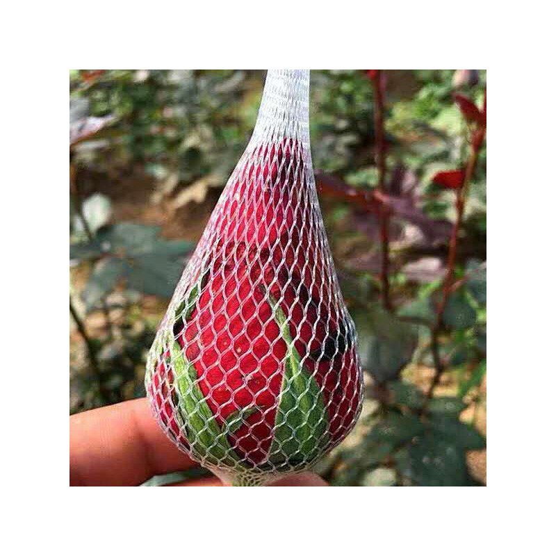 Rose Set Net Precision Parts Protective Cover Cosmetic Pen Protective Cover Source Manufacturer Free Shipping