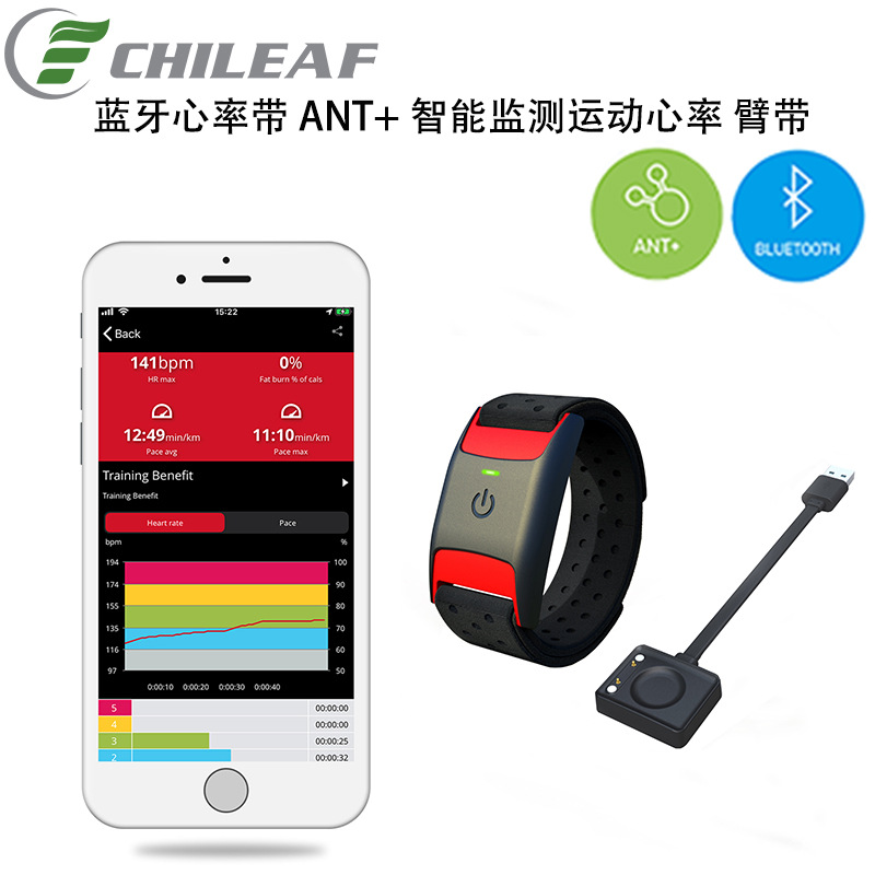 Customized Outdoor Sports Smart Heart Rate Belt Real-Time Heart Rate Pedometer Bluetooth 5.0Ant+ Heart Rate Armband Oem