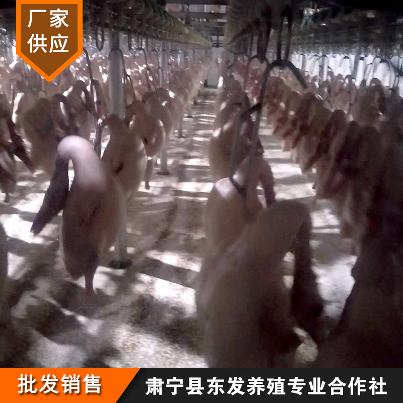 Manufacturer Wholesale Fresh Frozen Duck Embryos Beijing Four Series Roast Duck Embryos Special Duck Embryos for Frozen Fresh Roast Duck