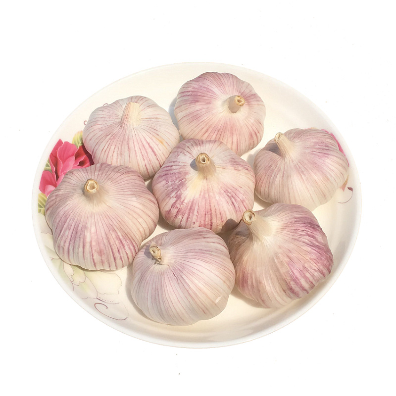 Take 10 Pieces and Send 2.5kg Net Weight Dried Garlic Garlic Heads Farm Dried Garlic Wholesale Dried Garlic Purple White Garlic