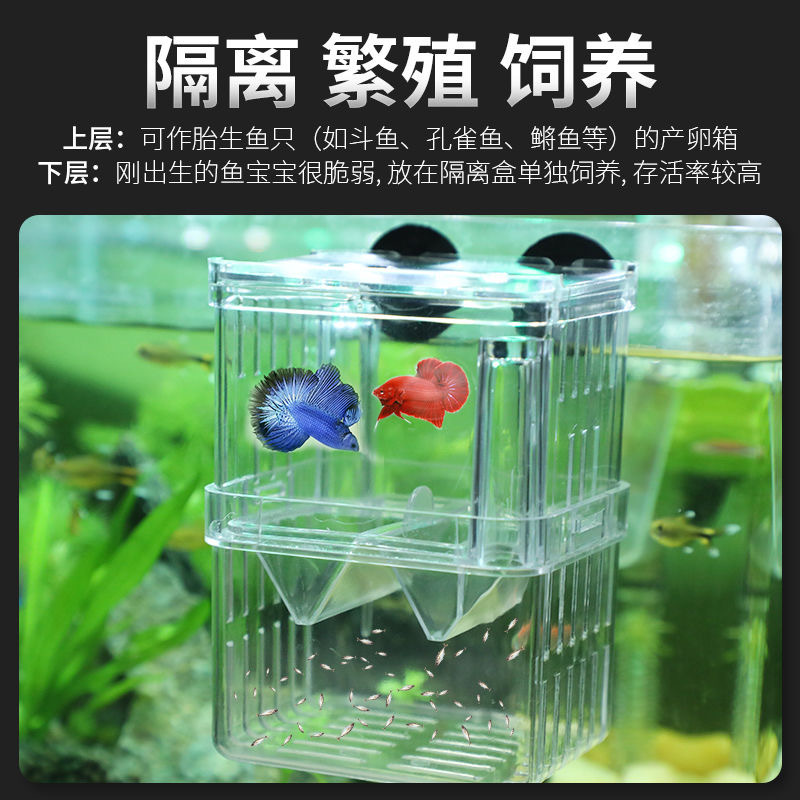 Guppy Breeding Box Fish Tank Acrylic Isolation Box Extra Large Spawning Hatching Delivery Room Small Fry Young Size Fish