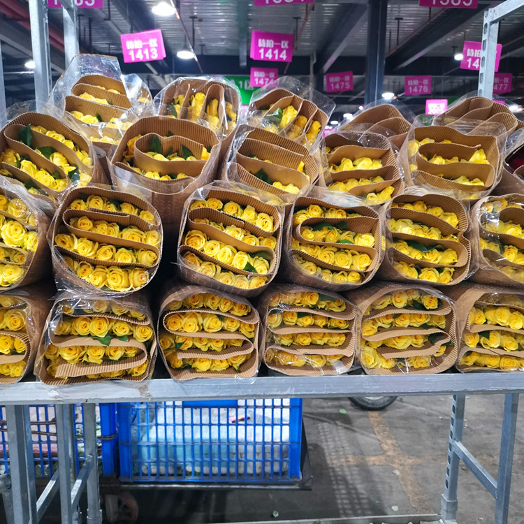 Yunnan Kunming Rose Flower Wholesale Goddess Day Gift Direct Batch Flower Shop Wedding Venue Layout Flowers