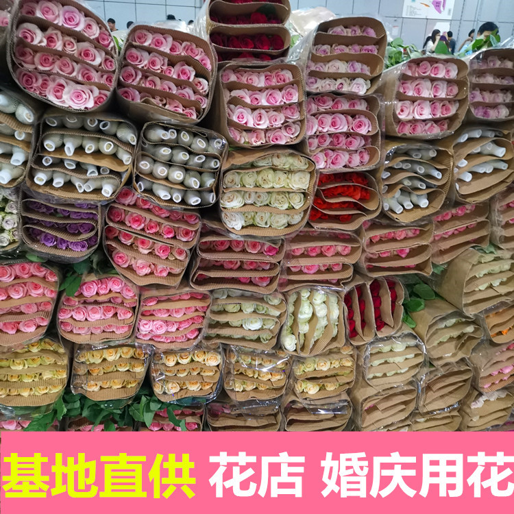 Yunnan Kunming Rose Flower Wholesale Goddess Day Gift Direct Batch Flower Shop Wedding Venue Layout Flowers