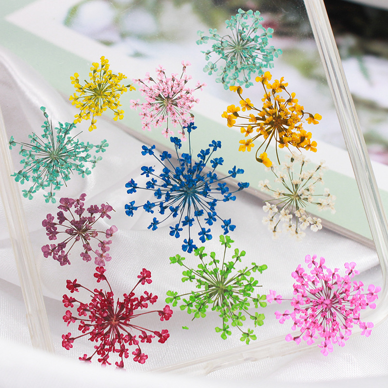 Снежные бусины, кружевные цветы, прессованный образец растения, ногтевой арт, декор для лица, ручная работа, фотоальбом, закладка, наклейка