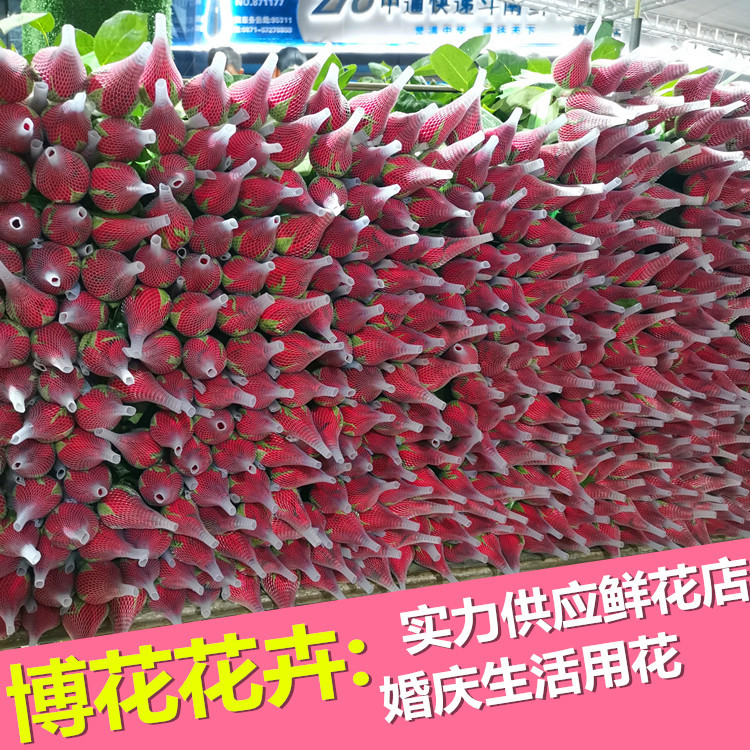 Оптовая продажа роз из Куньминга, цветы для подарков на День богини