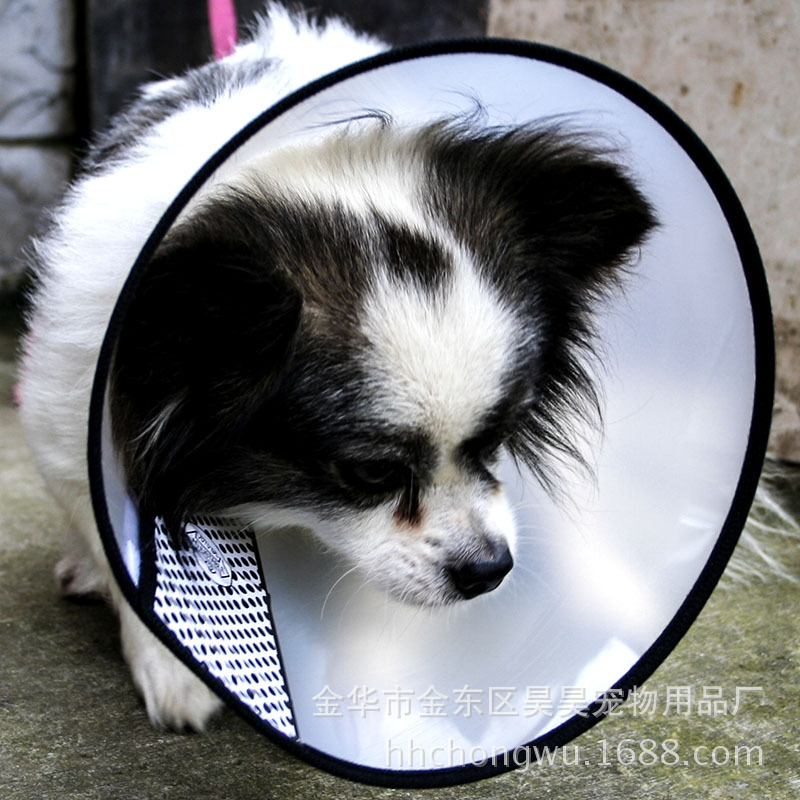 Factory Direct second-generation Elizabeth circle thickened pet protective cover dog headgear beauty cover