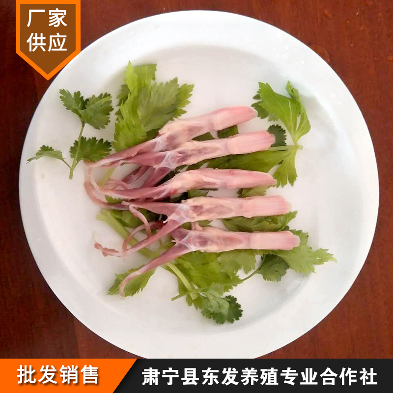 Manufacturer Supplies Frozen Duck Tongue Fresh Raw Frozen Ingredients Wholesale Duck Tongue Fresh Frozen Without Tongue Coating