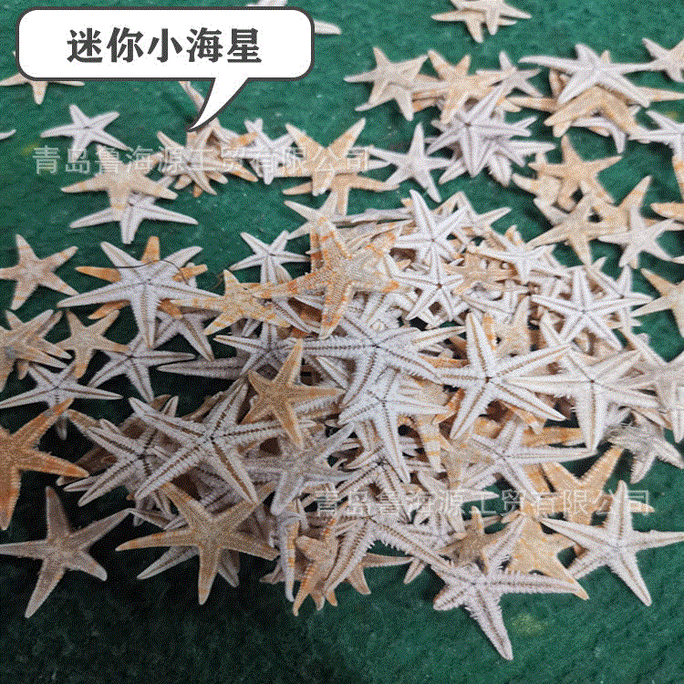 Ручная работа морская звезда бежевый морская звезда пять пальцев плоская морская звезда средиземноморские реквизиты для съемки ювелирные изделия 1-2 см
