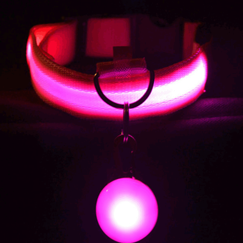 USB rechargeable LED luminous dog collar cat collar Teddy golden retriever pet dog with decorations large, medium and small dog