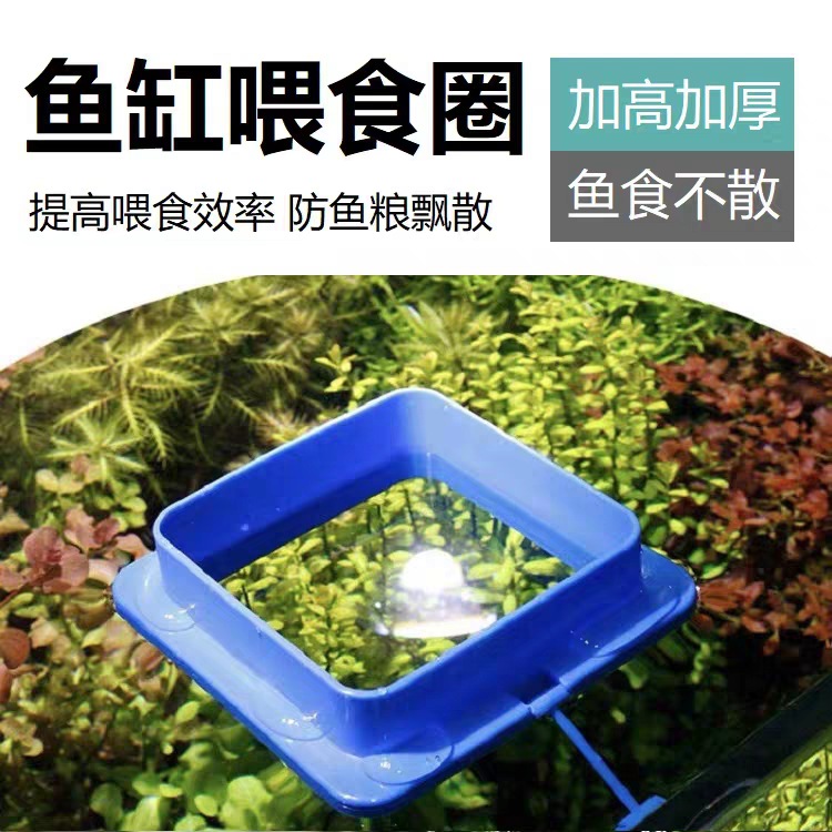 Feeding ring fish tank floating ring feeder feeding ring buoyancy anti-drift viewing goldfish koi feeder thickened