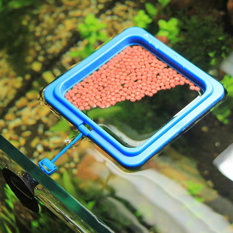 Feeding ring fish tank floating ring feeder feeding ring buoyancy anti-drift viewing goldfish koi feeder thickened