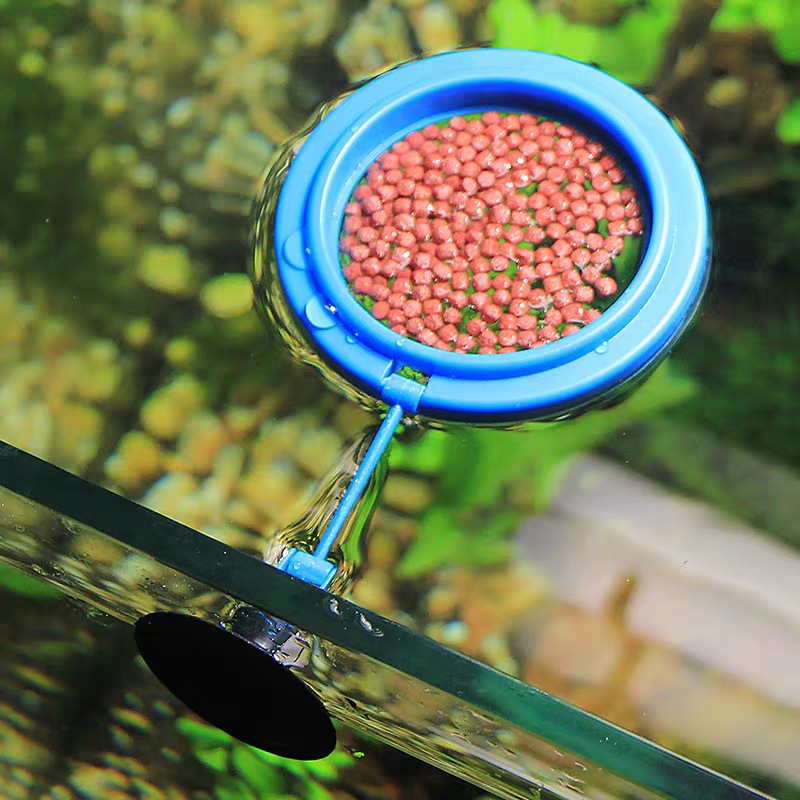 Feeding ring fish tank floating ring feeder feeding ring buoyancy anti-drift viewing goldfish koi feeder thickened