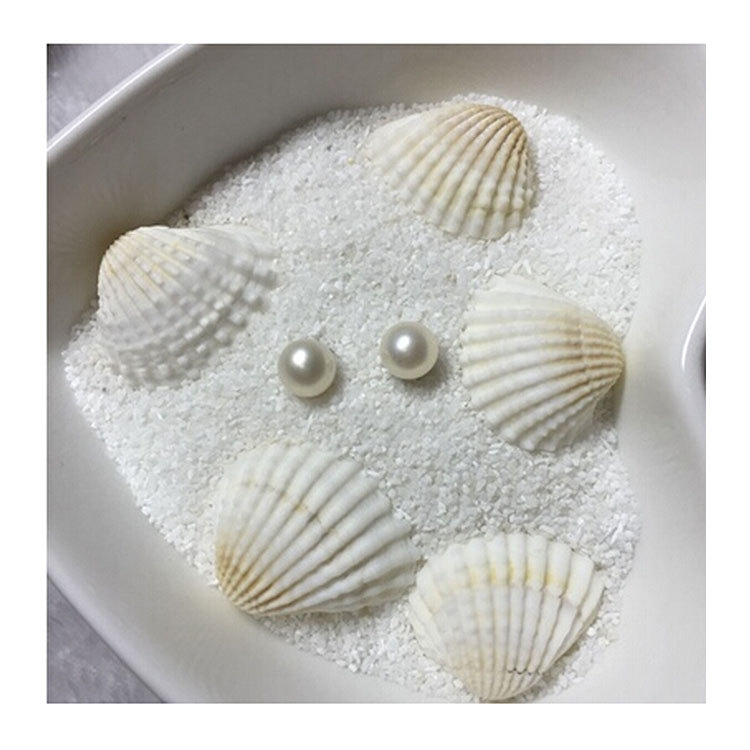 Natural White Shell Conch Fish Tank Small Accessories Vase Accessories White Scallop Small Ornaments Crafts 1-3cm
