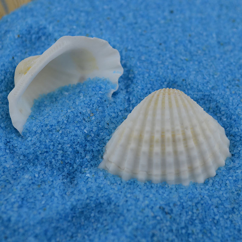 Natural White Shell Conch Fish Tank Small Accessories Vase Accessories White Scallop Small Ornaments Crafts 1-3cm