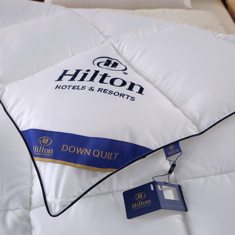 Hilton Feather Velvet Quilt Gift Box Soy Fiber Quilt Group Purchase Gift Quilt Wholesale Winter Quilt Benefit