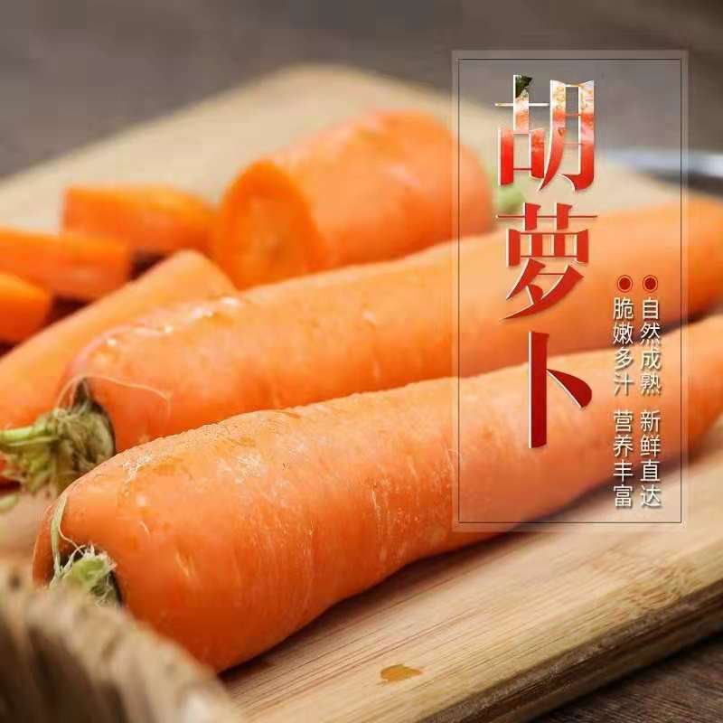 5kg Free Shipping【】Fresh Carrots Vegetables Farmhouse Fruits Radish Vegetable Wholesale Directly Supplied from Shaanxi for Eating Raw