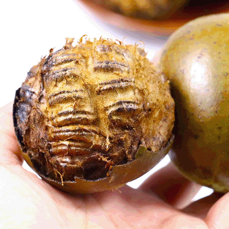 Guangxi Guilin Yongfu big fruit arhat dried Arhat fruit scented tea wholesale Arhat fruit Township Longjiang specialty