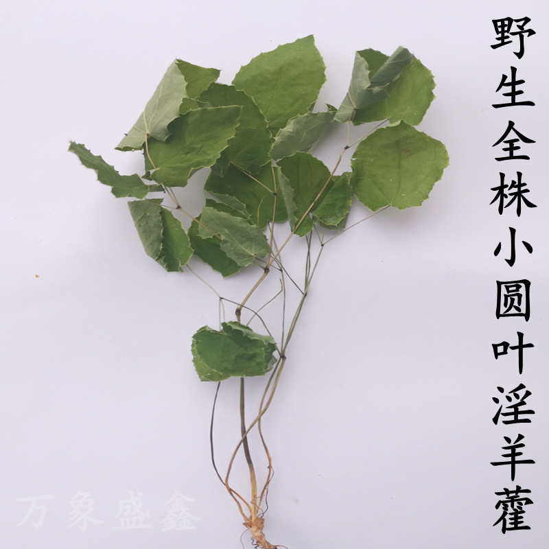 Epimedium Gansu Longnan Wild Small Round Leaf Epimedium Supplement High Content Kidney Three Branches Nine Leaf Grass Strengthening Immortal Spirit Spleen Yang