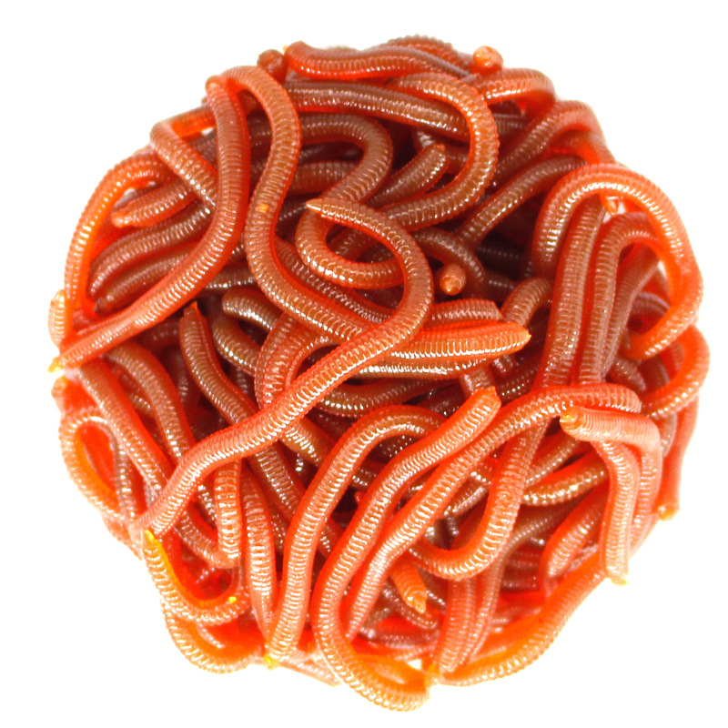 Simulated Centipede Fake Bait Luya Bait Taiwan Fishing Sea Fishing Luya Fishing Universal Bait Carp Crucian Carp Grass Carp Soft Bait