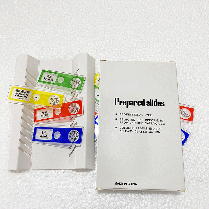 Microscope accessories children's plastic biological slide specimen slice a box of 12 pieces experimental Popular Science