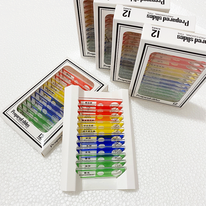 Microscope accessories children's plastic biological slide specimen slice a box of 12 pieces experimental Popular Science