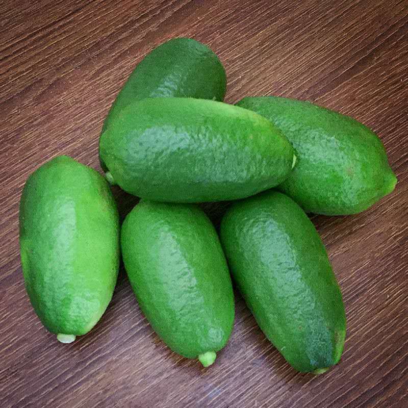 Guangdong Perfume Lemon Seedless Green Lemon Tropical Fresh Fruit First-Class Hainan Lemon Wholesale Milk Tea Shop Exclusive