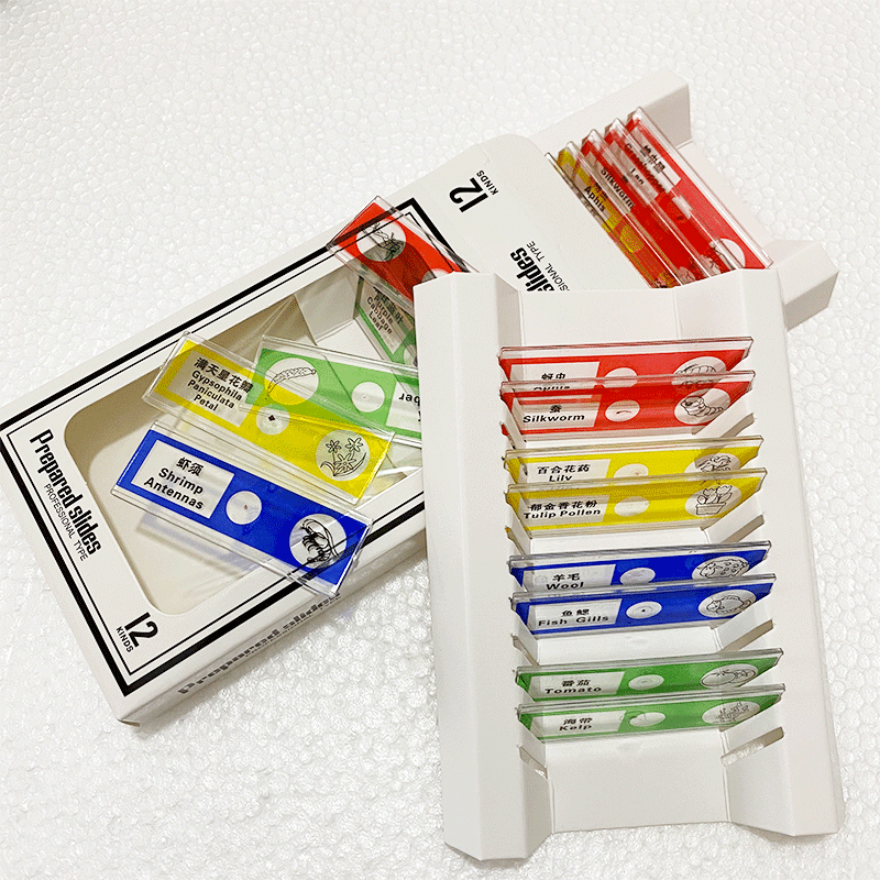 Microscope accessories children's plastic biological slide specimen slice a box of 12 pieces experimental Popular Science