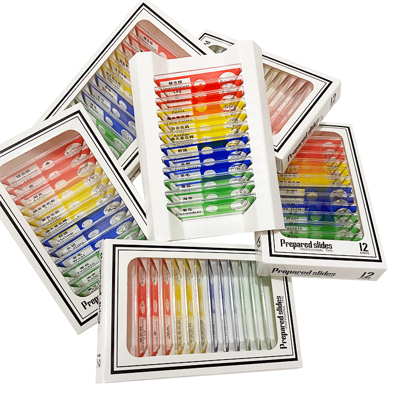 Microscope accessories children's plastic biological slide specimen slice a box of 12 pieces experimental Popular Science