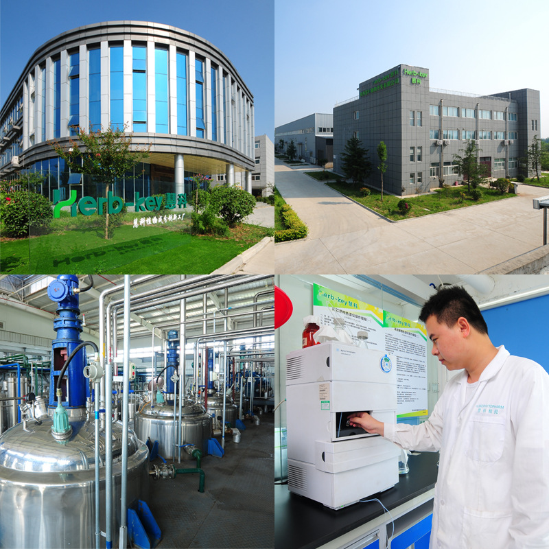 Psyllium Seed Husk Powder 98% Shaanxi Huike Manufacturer Supplies Psyllium Seed Husk Extract Powder with Free Shipping