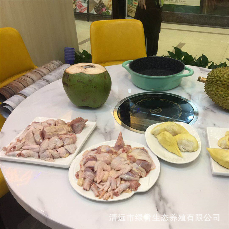[Shanji Huang] Wenchang Chicken Hainan Farmhouse Free Range 180 Days Free Range Chicken Coconut Chicken Fresh Whole Chicken