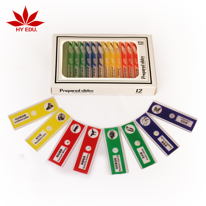 Children's Microscope Specimen Chinese and English Plastic Biological Slices 12 Pieces Animal and Plant Insect Mixed Biological Slices