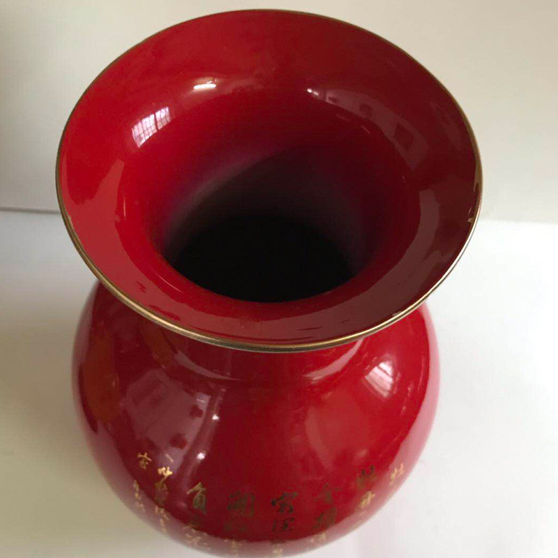 Ceramic Chinese Vase Tianqiu Flower Blooming Rich Bottle Decoration Creative Simple Living Room Flower Arrangement Dried Flower Decoration