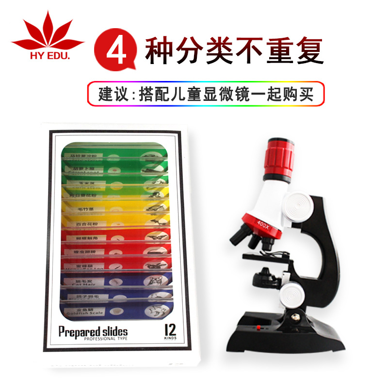 Children's Microscope Specimen Chinese and English Plastic Biological Slices 12 Pieces Animal and Plant Insect Mixed Biological Slices