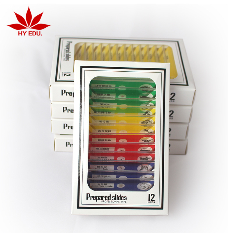 Children's Microscope Specimen Chinese and English Plastic Biological Slices 12 Pieces Animal and Plant Insect Mixed Biological Slices