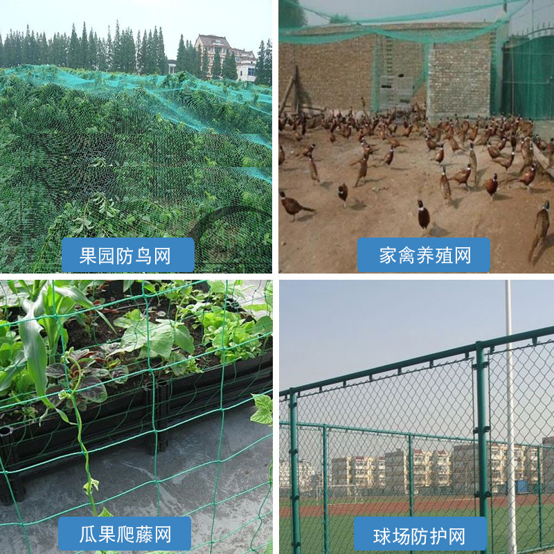 Climbing Net, Fishing Net, Breeding Net, Anti-Bird Net, Roof Net, Fish Net, Chicken Net, Edge Net, Guardrail Net, Nylon Net