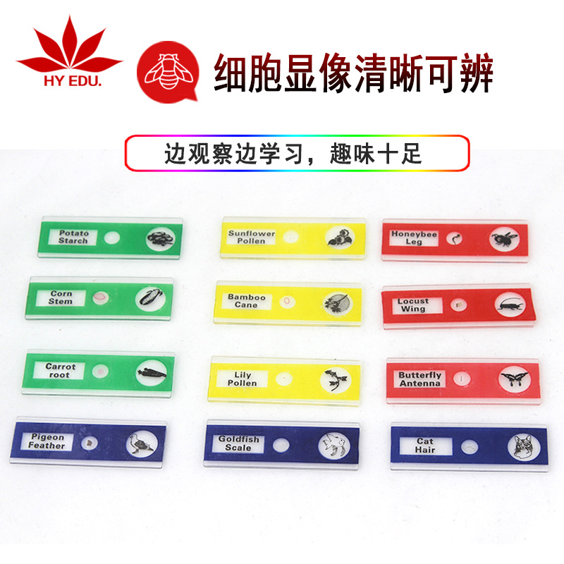 Children's Microscope Matching Plastic Biological Slices Animal Plants Insects 12-Piece Colorful Set