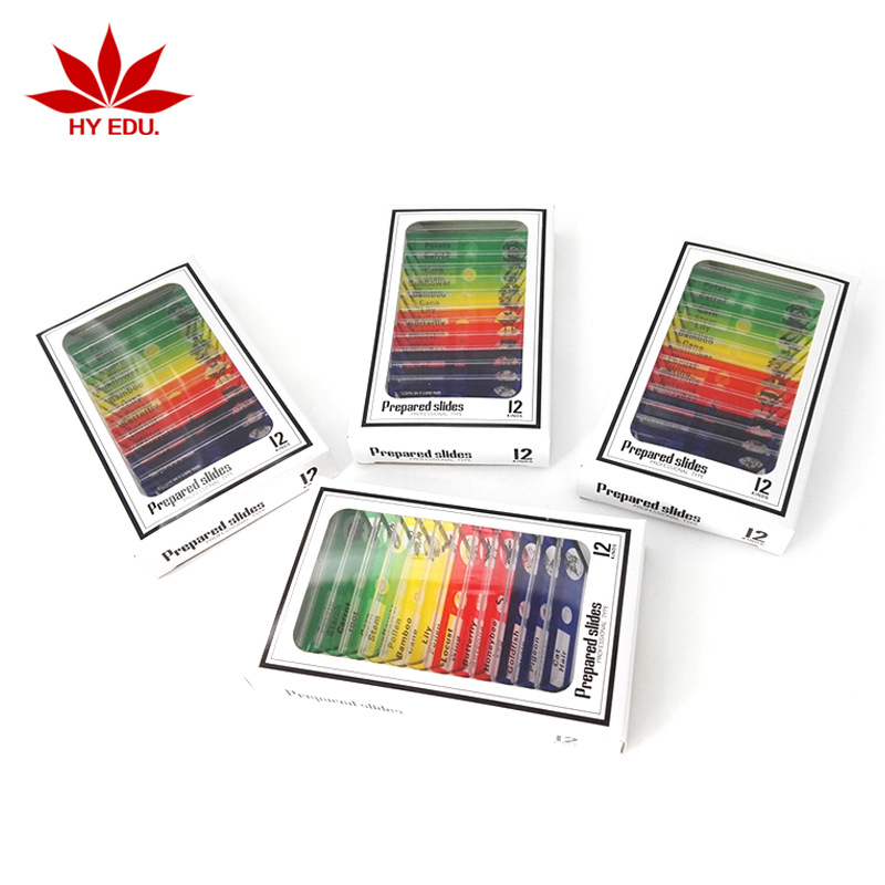 Children's Microscope Matching Plastic Biological Slices Animal Plants Insects 12-Piece Colorful Set