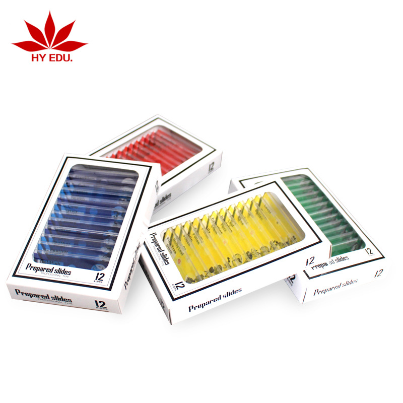 Red Leaf Church Microscope Accessories Plastic Biological Slices 4 Colors English Label 48 Piece Set